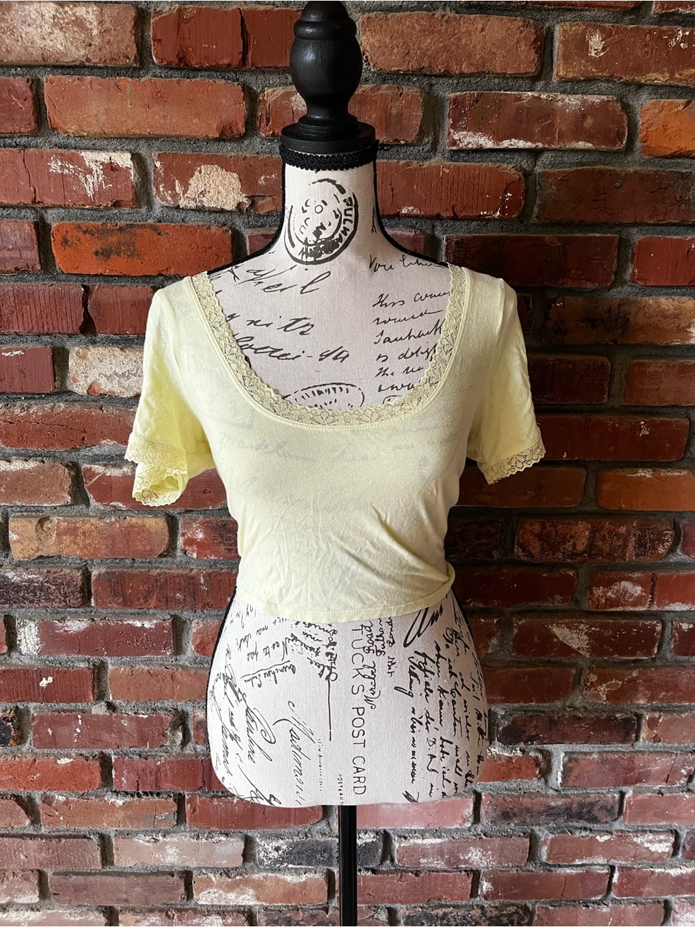 Light Yellow Lace-Trim Scoop Neck Crop Top